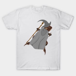 Frog Wizard T-Shirt